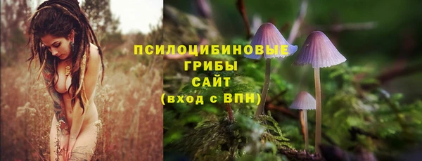 соль ск Алзамай