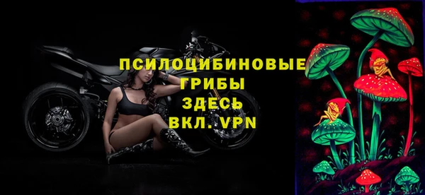 PSILOCYBIN Абинск