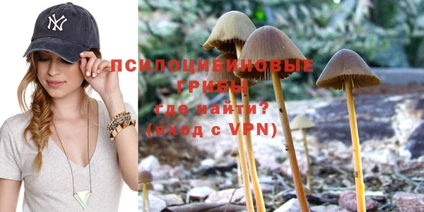 экстази Алексин