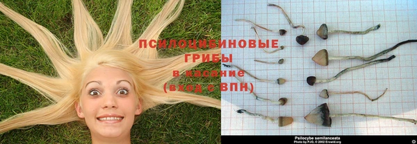 экстази Алексин