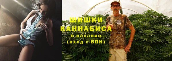 ПСИЛОЦИБИНОВЫЕ ГРИБЫ Алексеевка