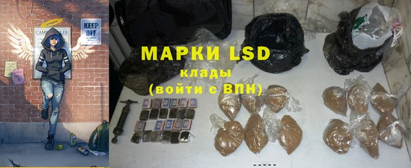 ПСИЛОЦИБИНОВЫЕ ГРИБЫ Алексеевка