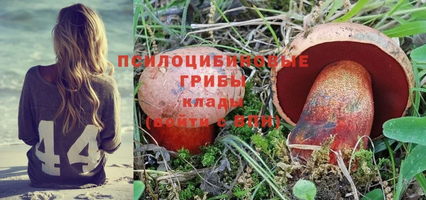 экстази Алексин