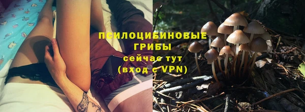 экстази Алексин