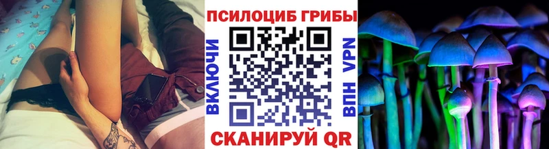 Галлюциногенные грибы Psilocybine cubensis  Любань 